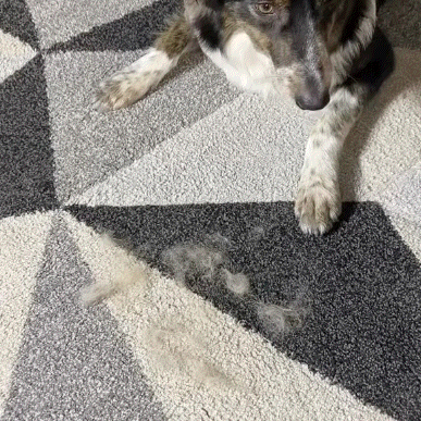 Fur-Free Pet Hair Removal Glove