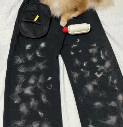 Fur-Free Pet Hair Removal Glove