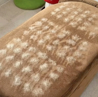 Fur-Free Pet Hair Removal Glove