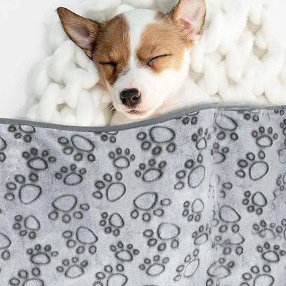 Cozy Pet Blanket for Dogs & Cats