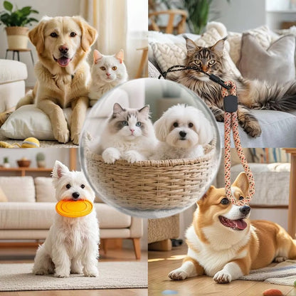 Magic Crystal Ball 3D Video Player