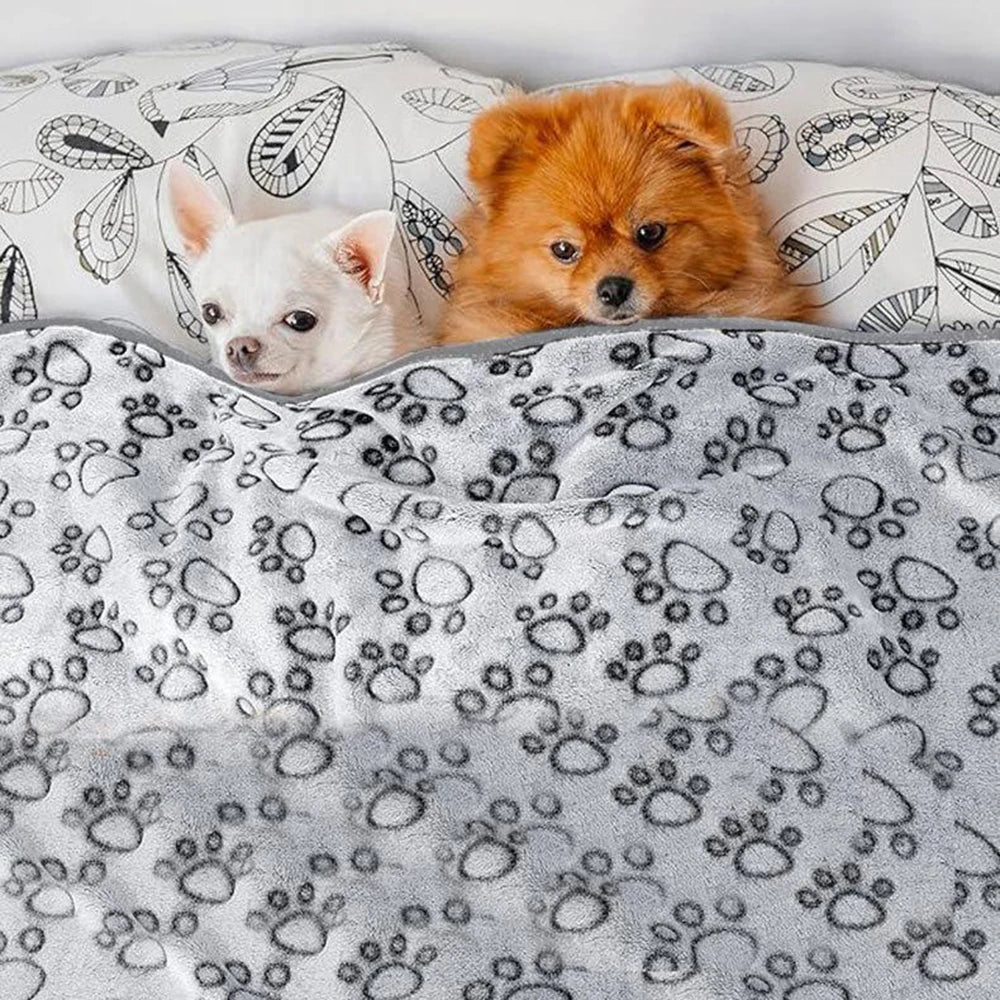 Cozy Pet Blanket for Dogs & Cats