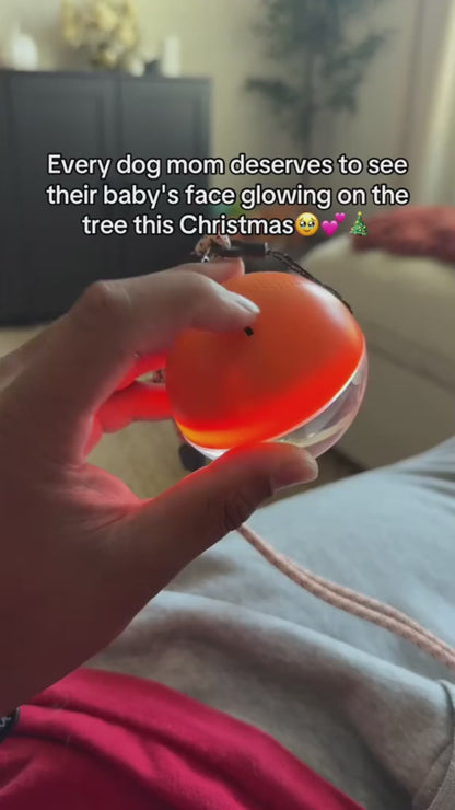 Magic Crystal Ball 3D Video Player